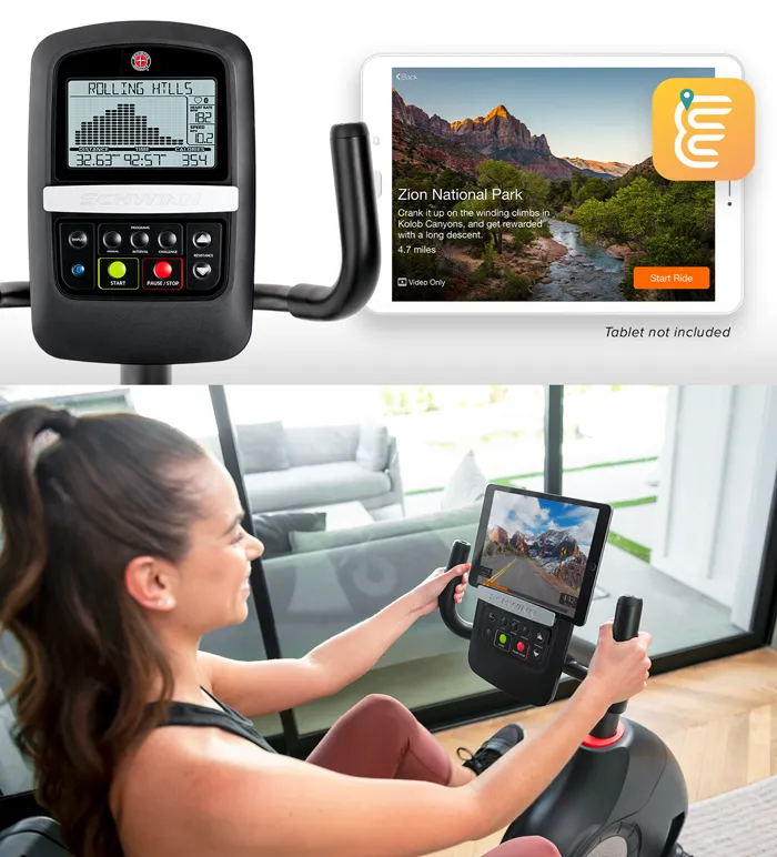 230 Recumbent Bike
