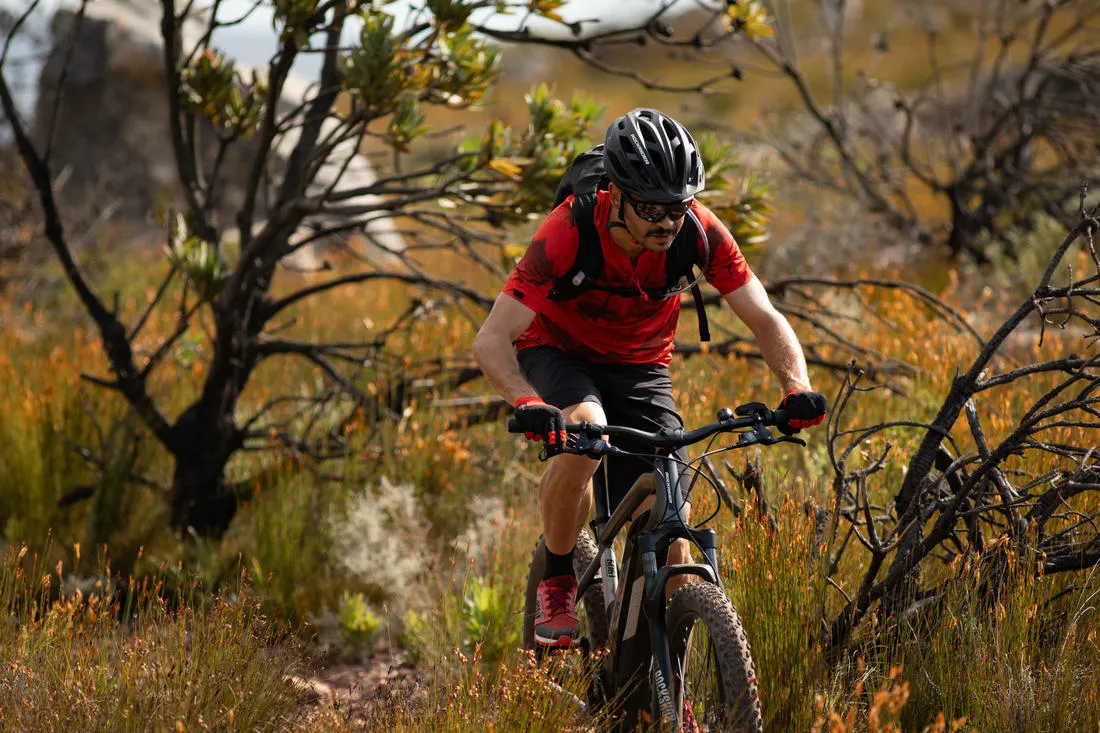 27.5"  Electric Hardtail MTB Bike E-ST 900 - Grey
