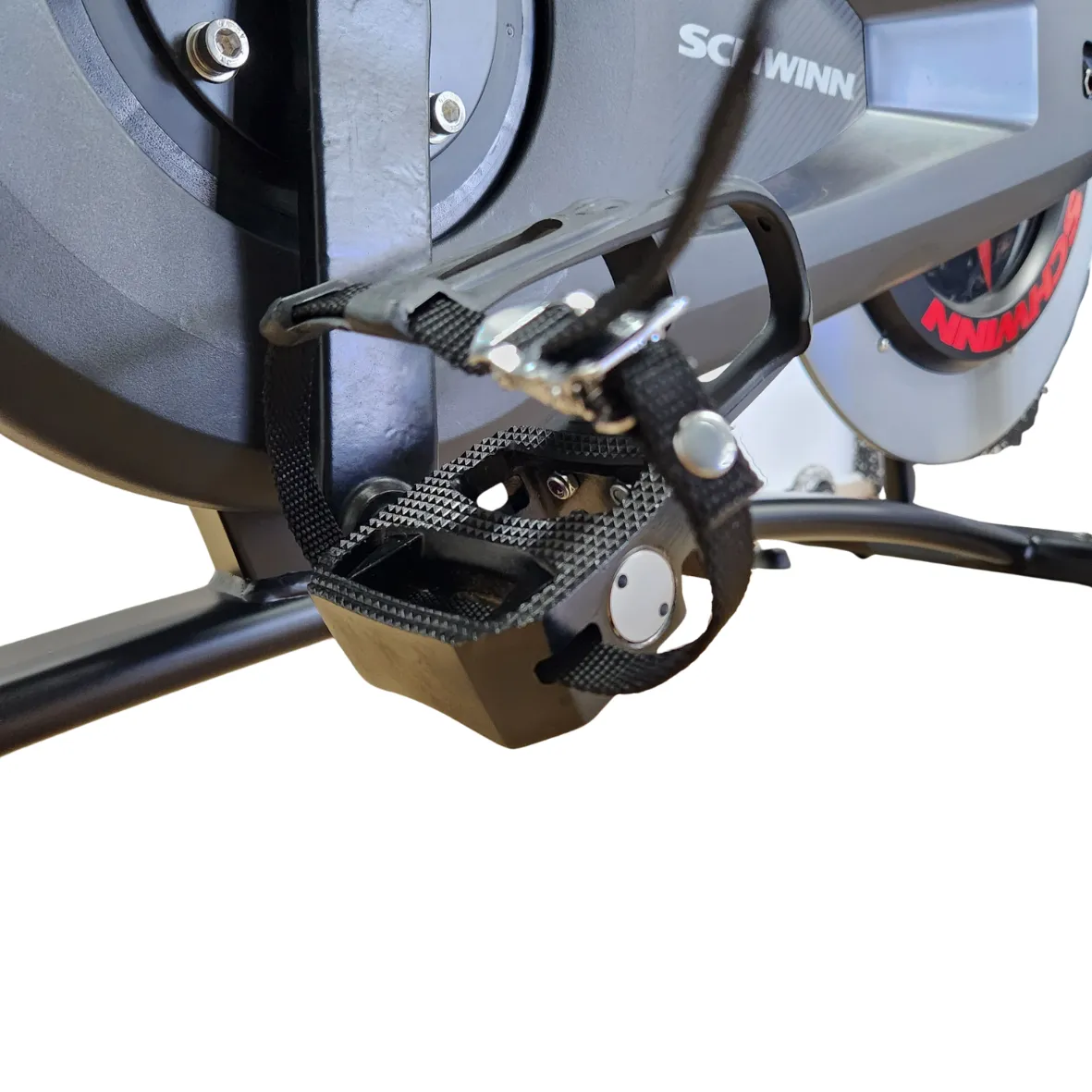 AC Schwinn Sport Spin Bike (Floor Stock)