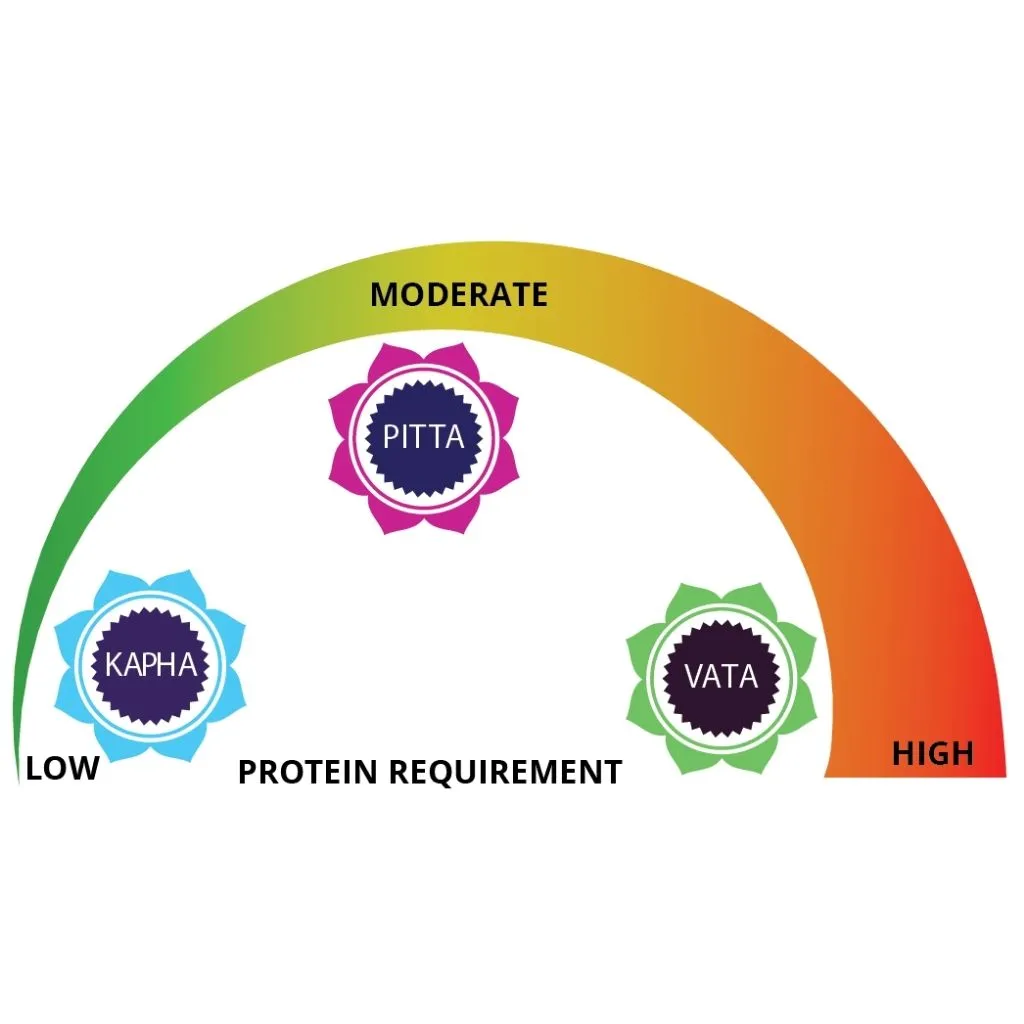 Ayurveda & The Paleo Diet - Ayurvedic Wisdom on customizing the Paleo Diet