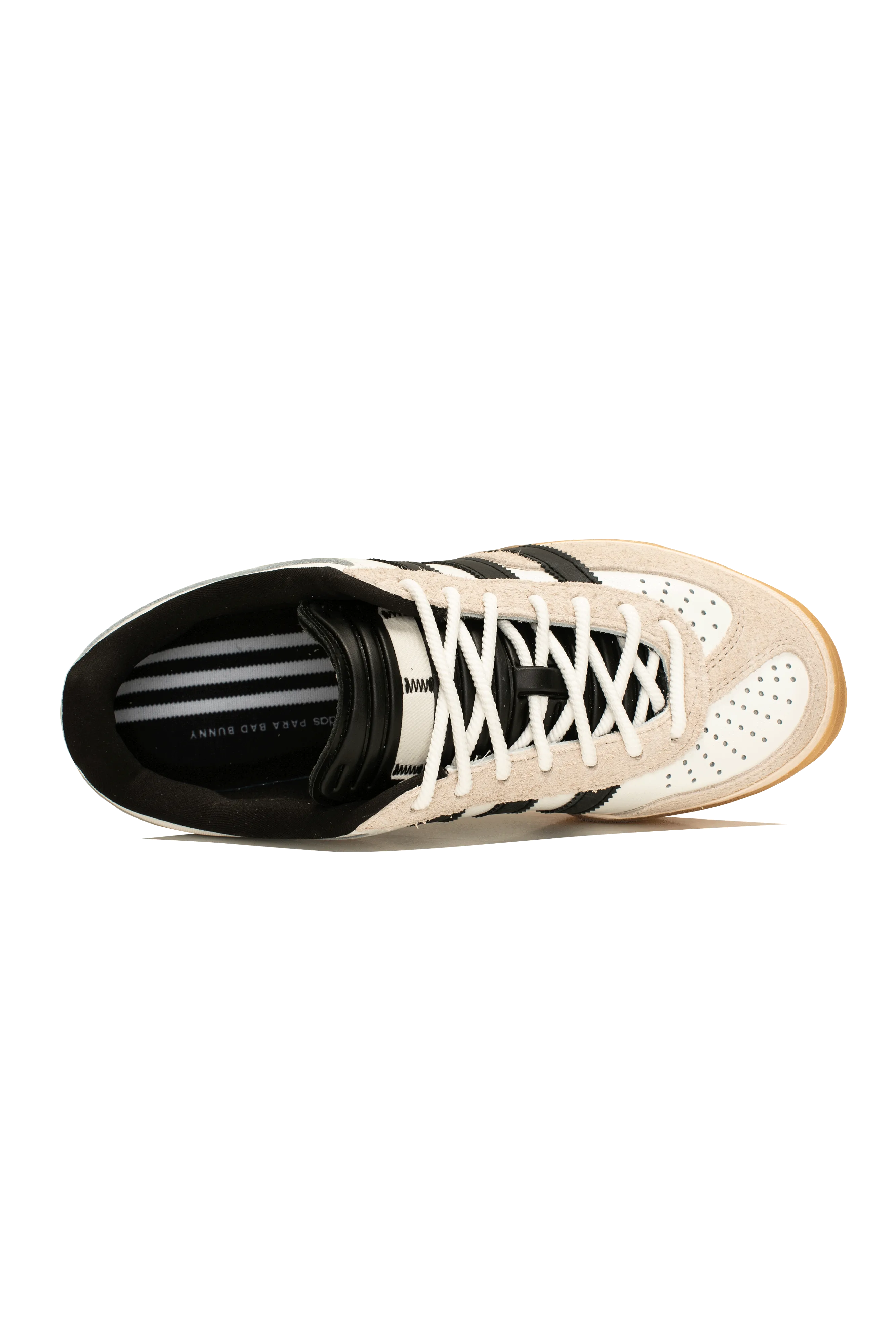 Bad Bunny Gazelle Indoor