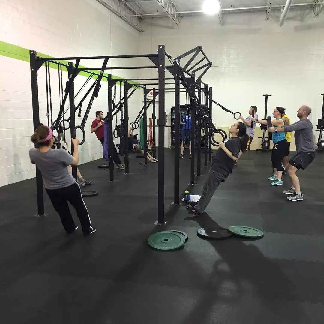CFF WOD RINGS - OLYMPIC GYM RINGS