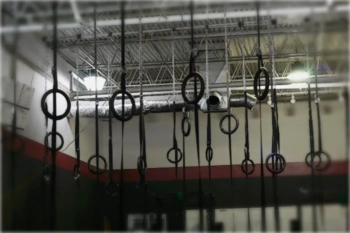 CFF WOD RINGS - OLYMPIC GYM RINGS