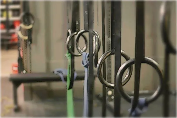 CFF WOD RINGS - OLYMPIC GYM RINGS