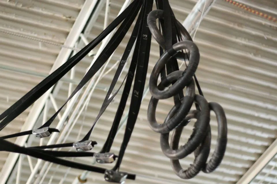 CFF WOD RINGS - OLYMPIC GYM RINGS