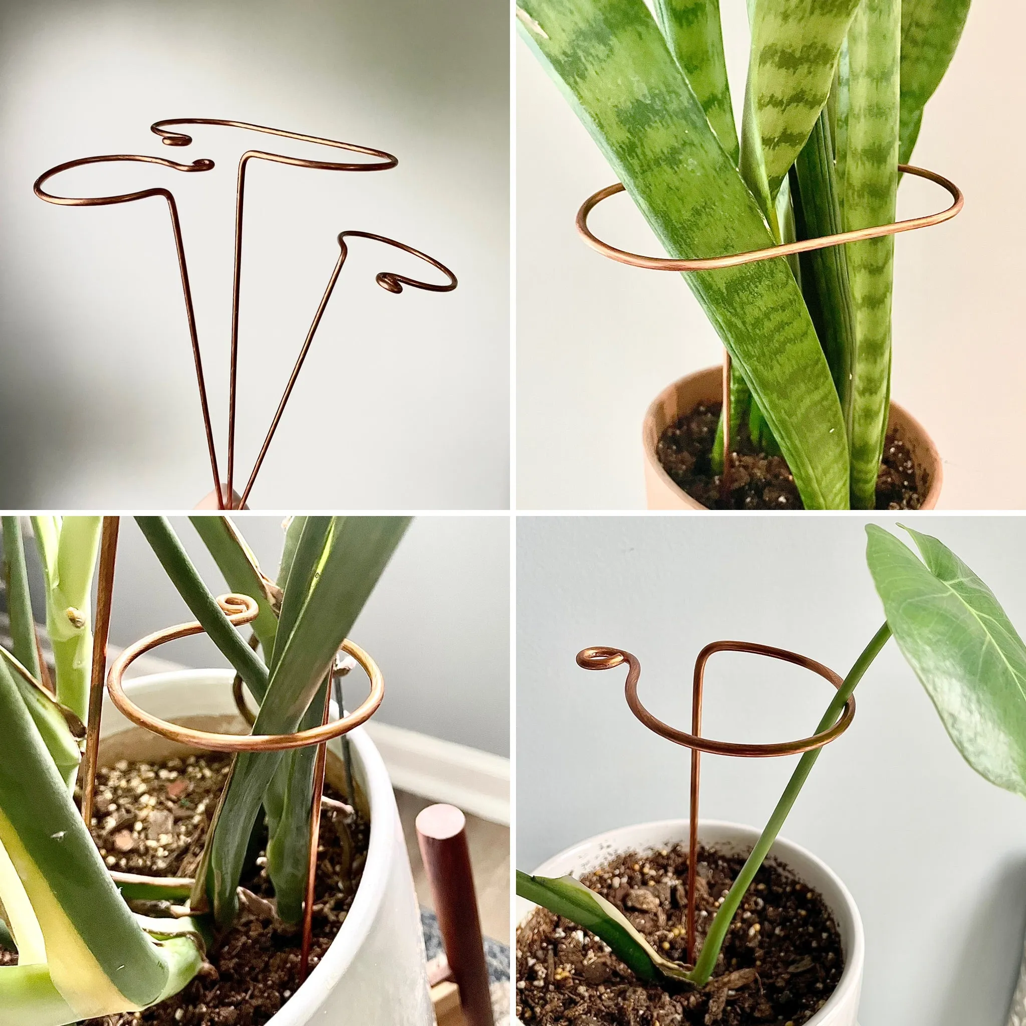 Copper Track and Hook Plant Sticks, 2 Designs