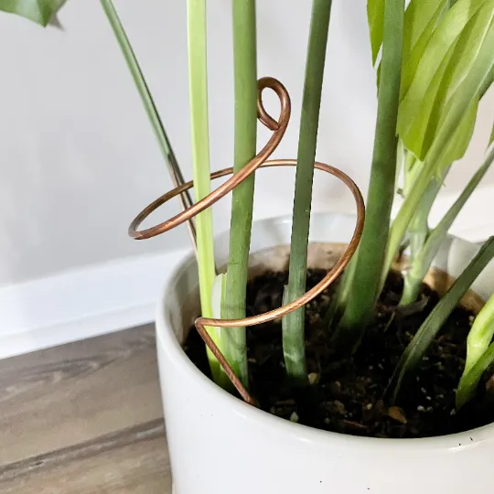 Decorative Plant Stakes, Plant Stem Supports, 3 Designs