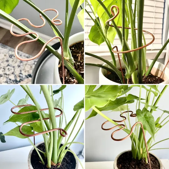 Decorative Plant Stakes, Plant Stem Supports, 3 Designs