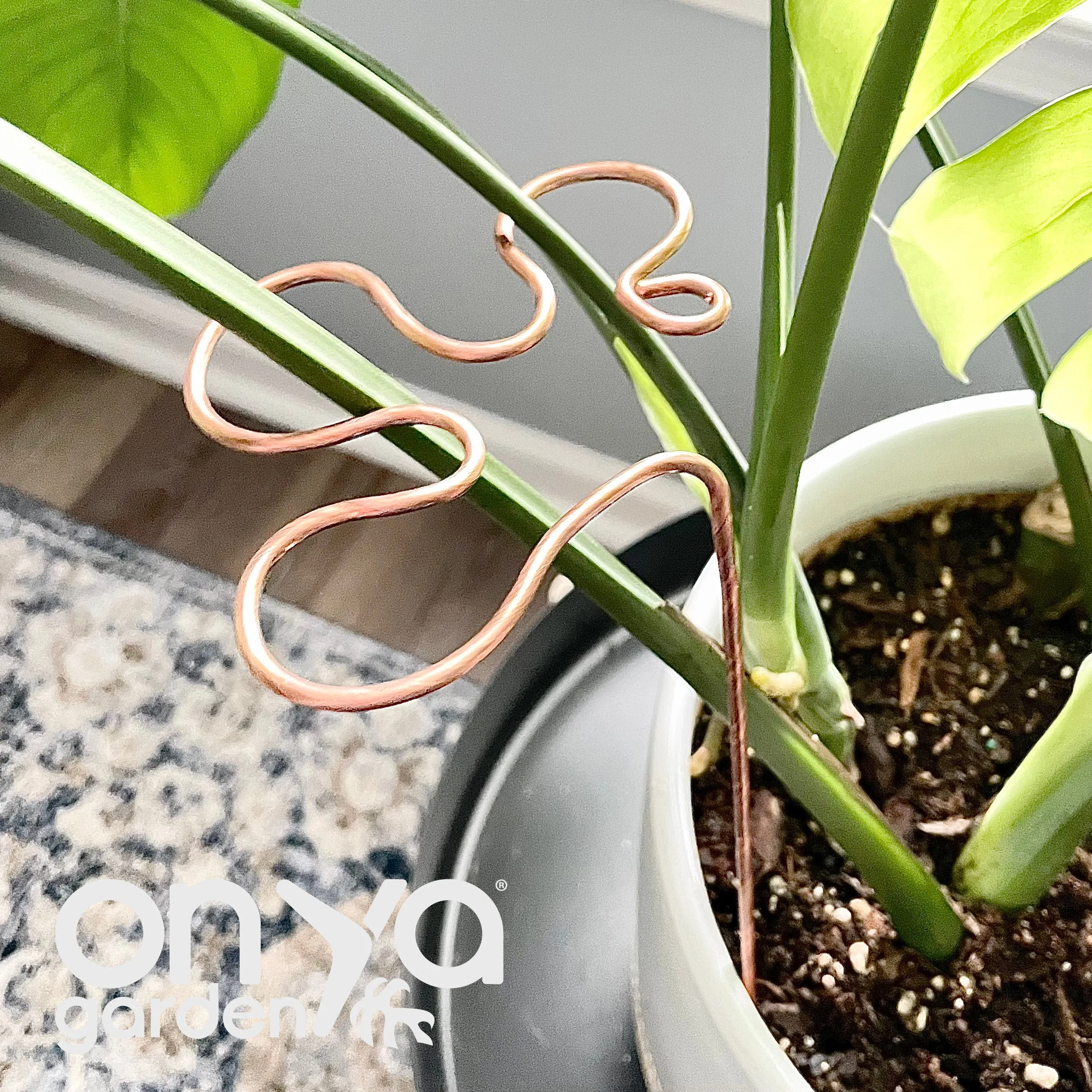 Decorative Plant Stakes, Plant Stem Supports, 3 Designs