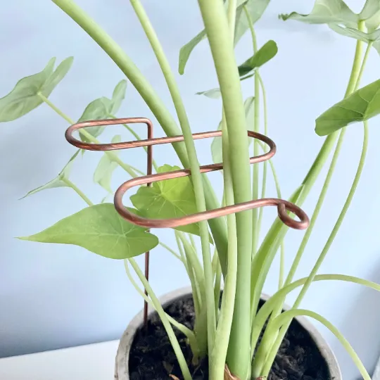 Decorative Plant Stakes, Plant Stem Supports, 3 Designs