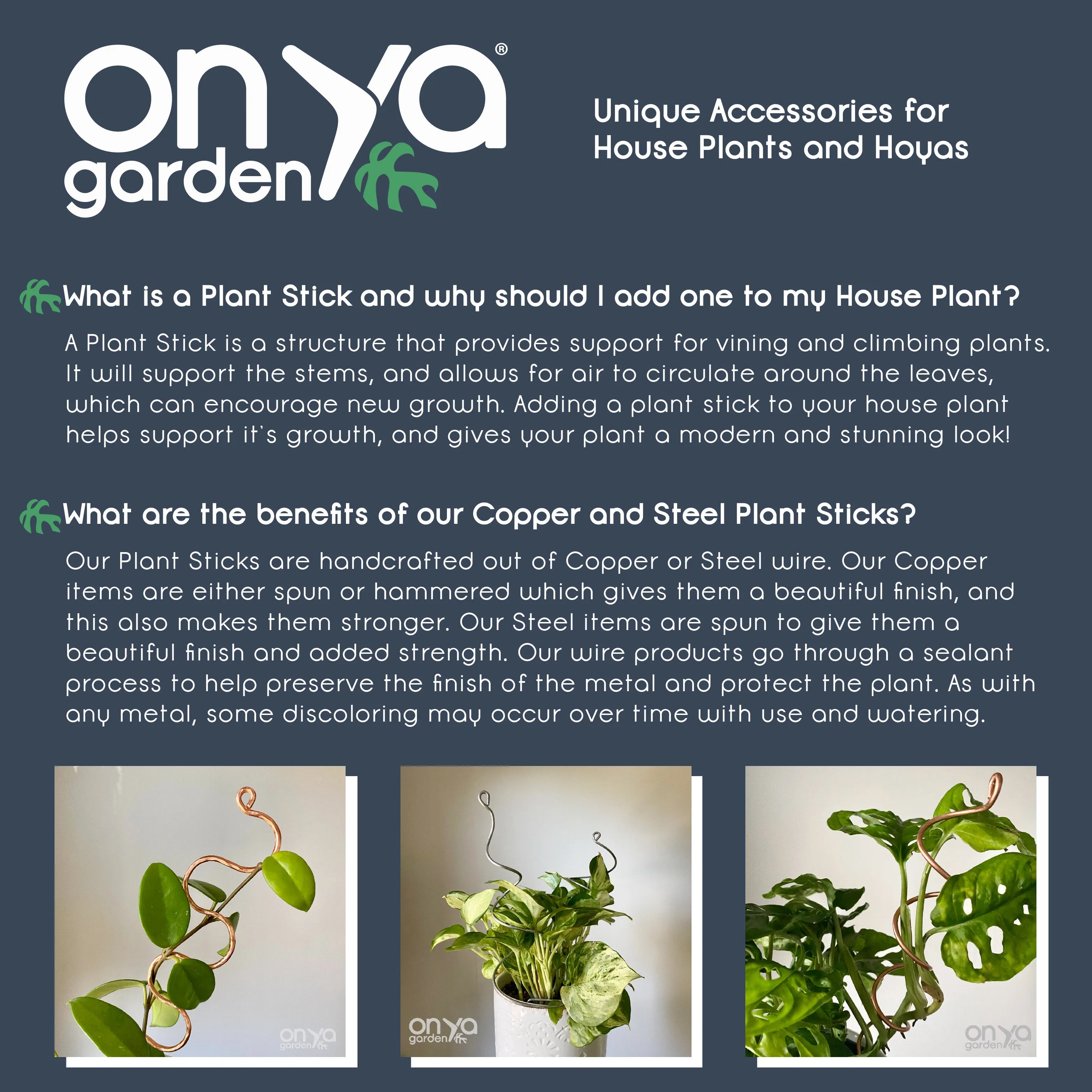 Decorative Plant Stakes, Plant Stem Supports, 3 Designs