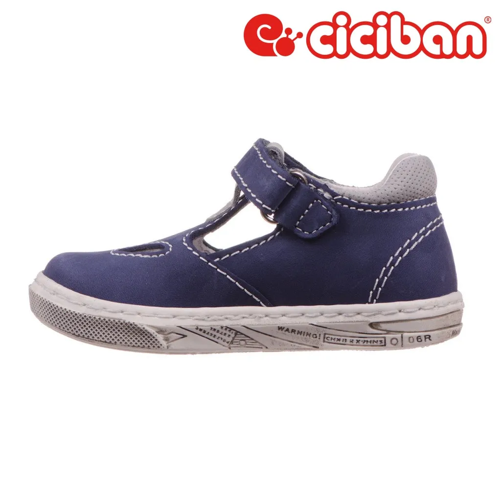 Dixan Ocean 82