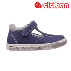 Dixan Ocean 82