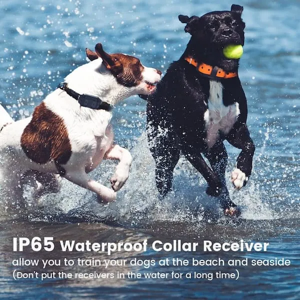[FunTrainer] Dog Shock Collar with Remote for 2 Dogs