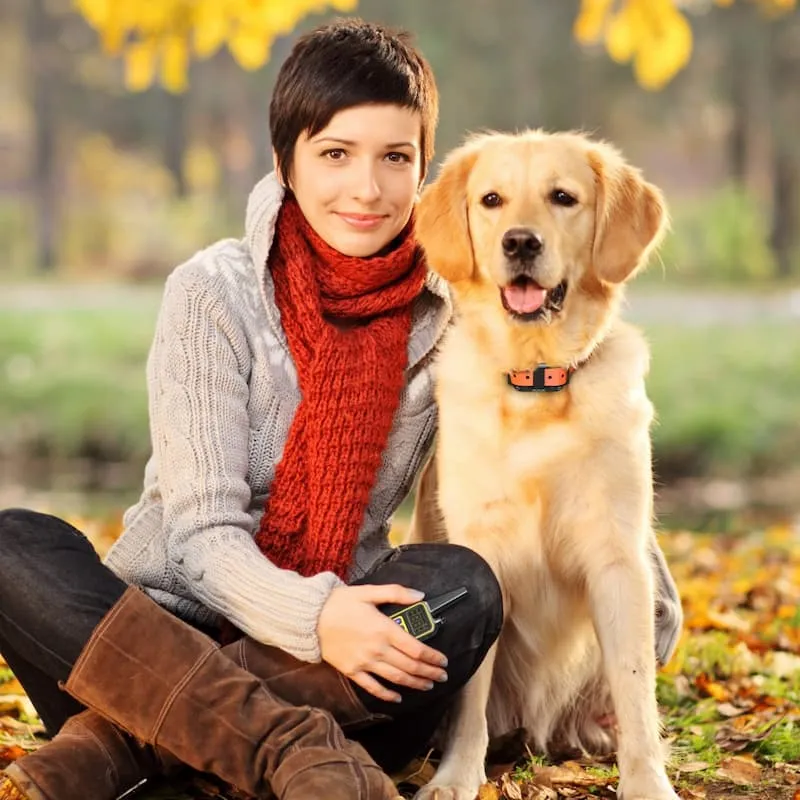 [FunTrainer] Dog Shock Collar with Remote for 2 Dogs