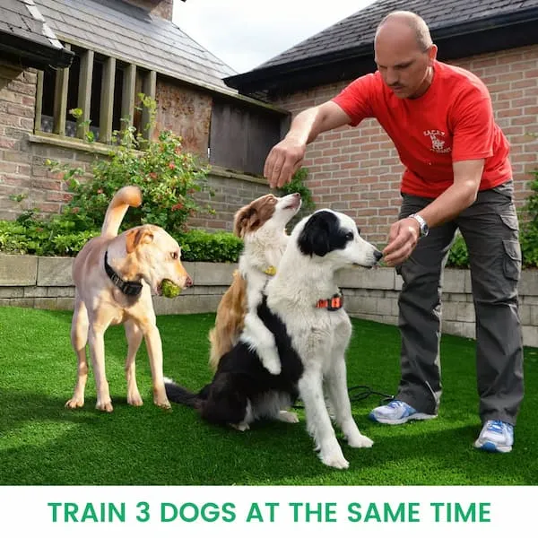 [FunTrainer] Dog Shock Collar with Remote for 2 Dogs