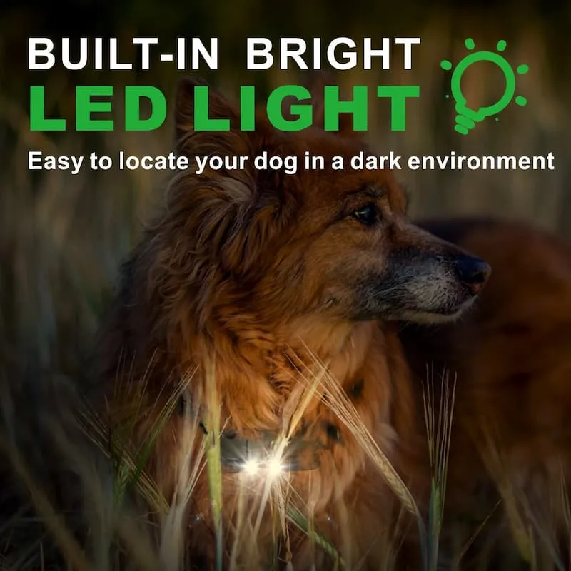 [FunTrainer] Dog Shock Collar with Remote for 2 Dogs