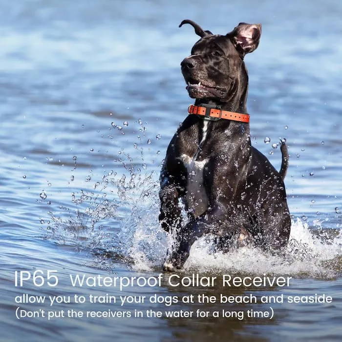 [FunTrainer] Dog Shock Collar with Remote for 2 Dogs