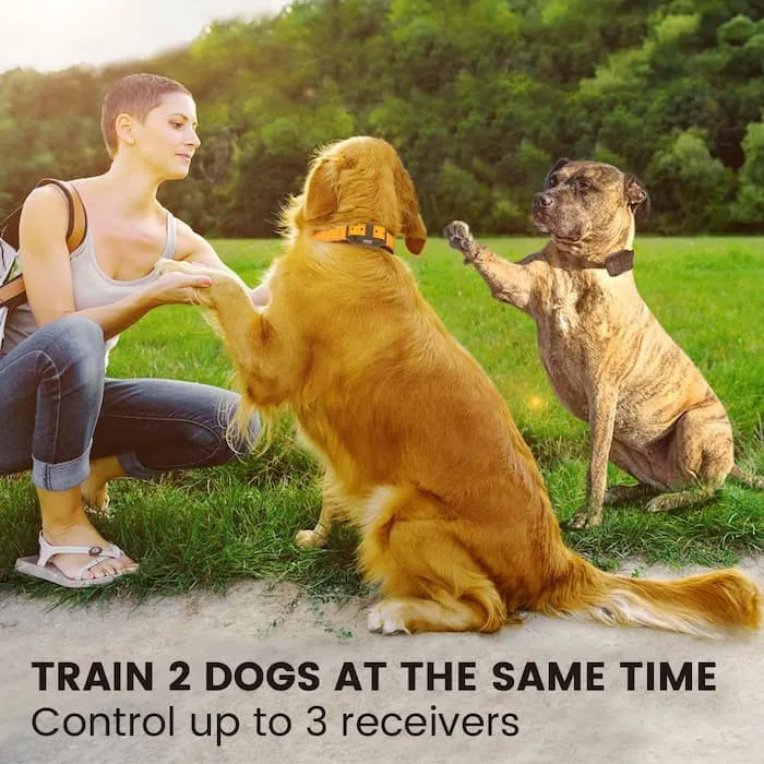 [FunTrainer] Dog Shock Collar with Remote for 2 Dogs