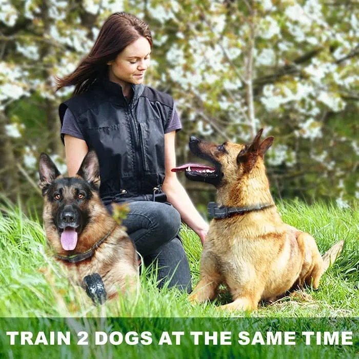 [FunTrainer ] Dog Shock Collars with Remote for 3 Dogs