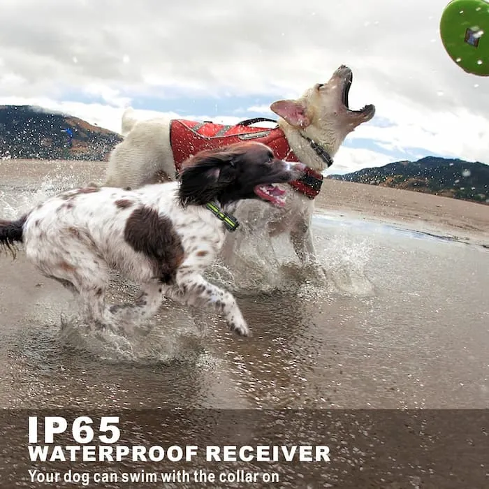 [FunTrainer ] Dog Shock Collars with Remote for 3 Dogs