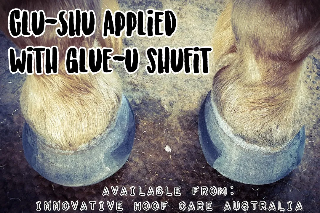 Glue-U Shubond Glue - Acrylic Adhesive