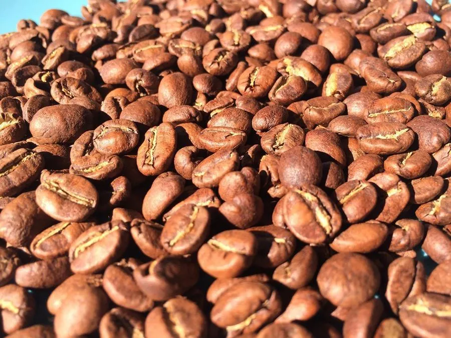 Grimpeur Loves You 1lb Coffee & Plant Bundle & Subscription Plans