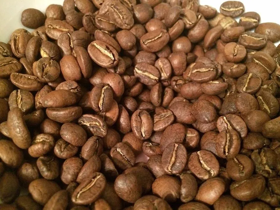 Grimpeur Loves You 1lb Coffee & Plant Bundle & Subscription Plans