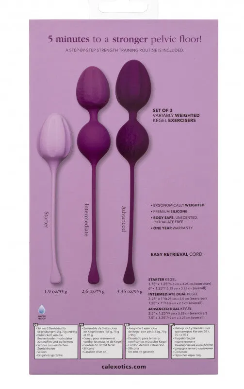 Kegel Training 3-Piece Set - Purple