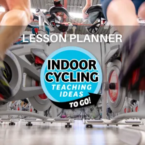 Lesson Planner eBOOK - Get Your Download Today!