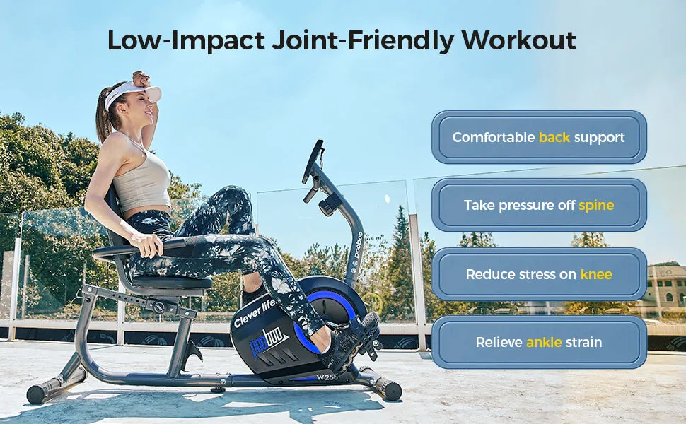 Pooboo Recumbent Exercise Bikes Sit Down Stationary Bicycle 380lb