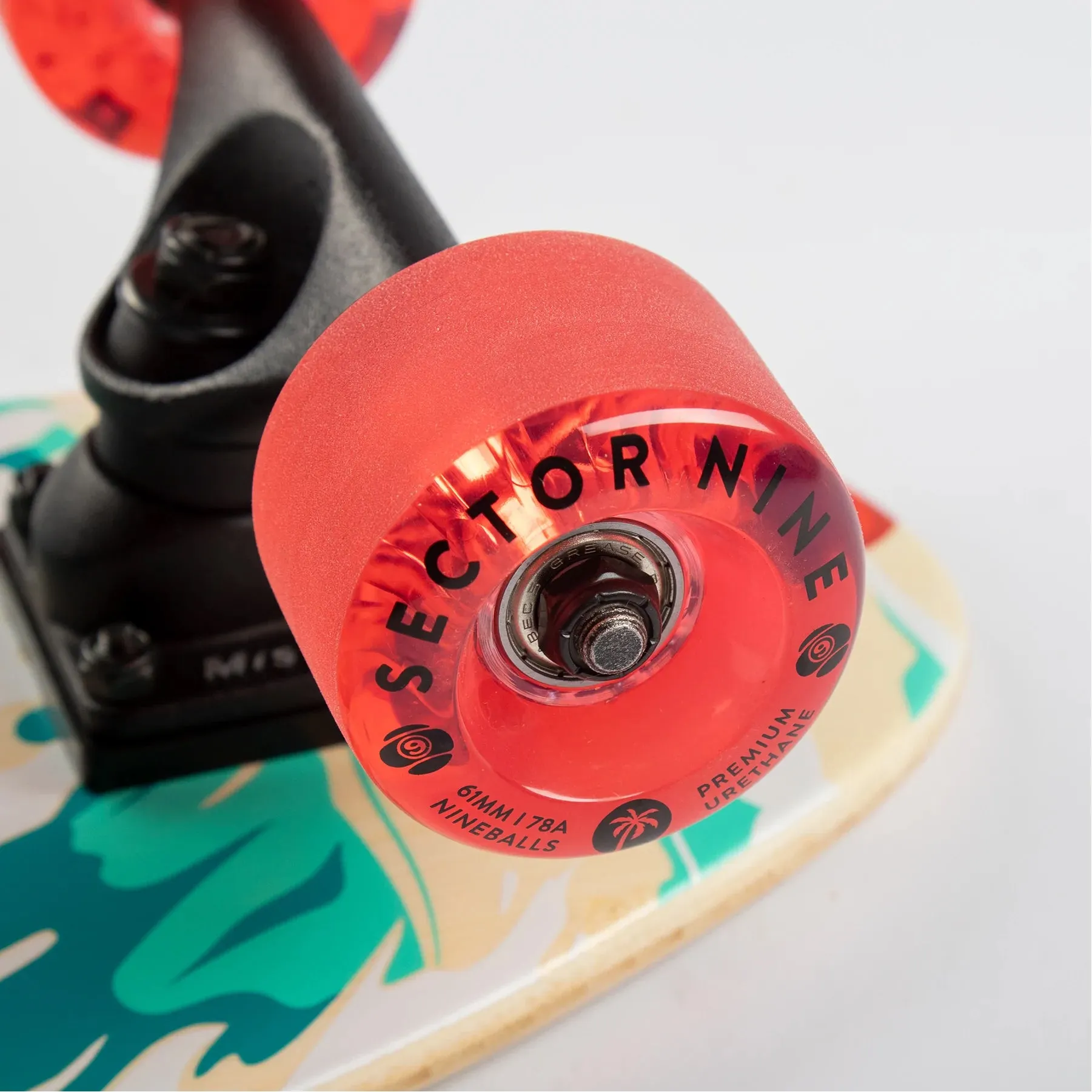 Sector 9 Bambino Shorebreak