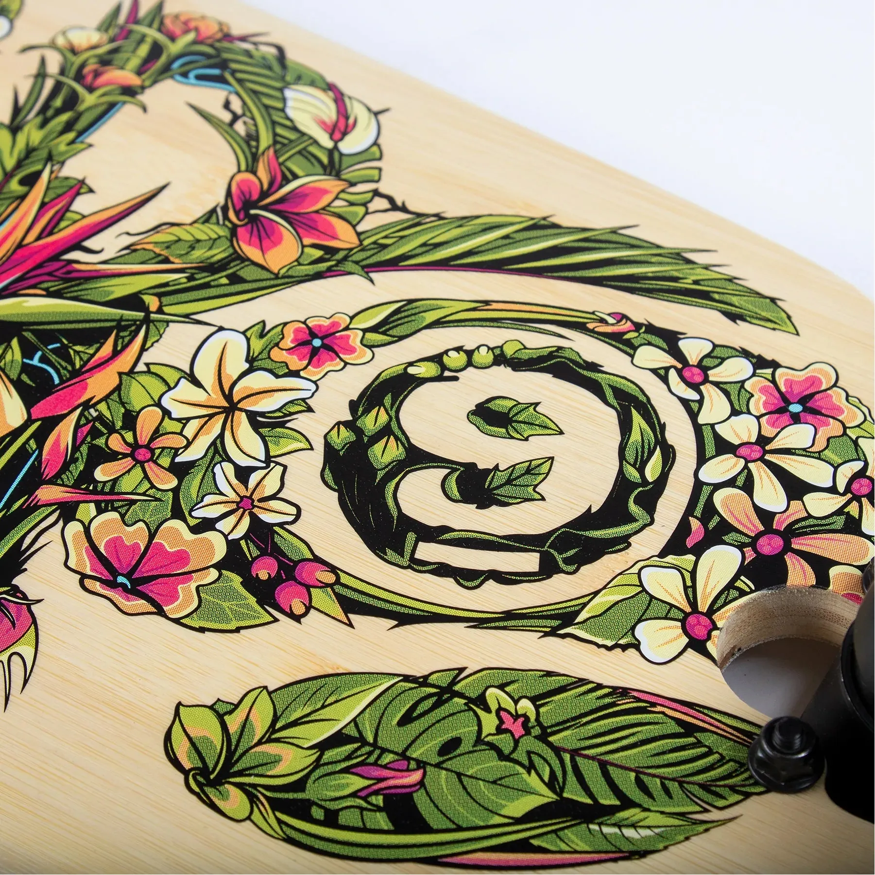 Sector 9 Fractal Flora