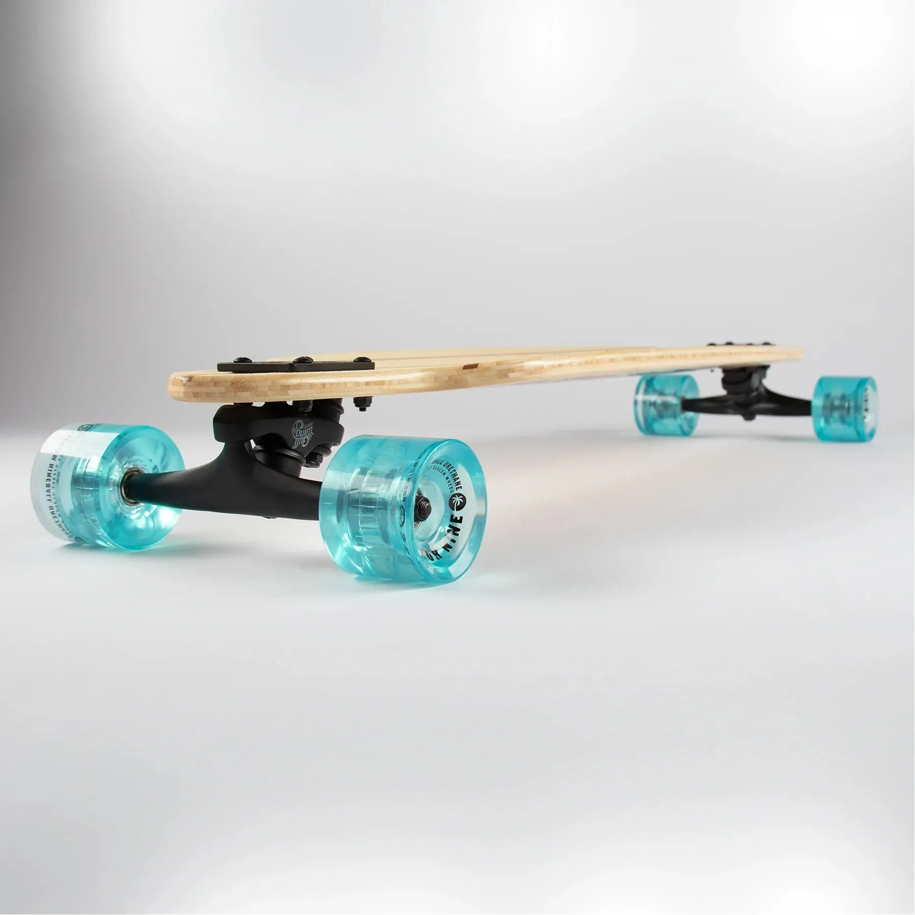 Sector 9 Fractal Flora