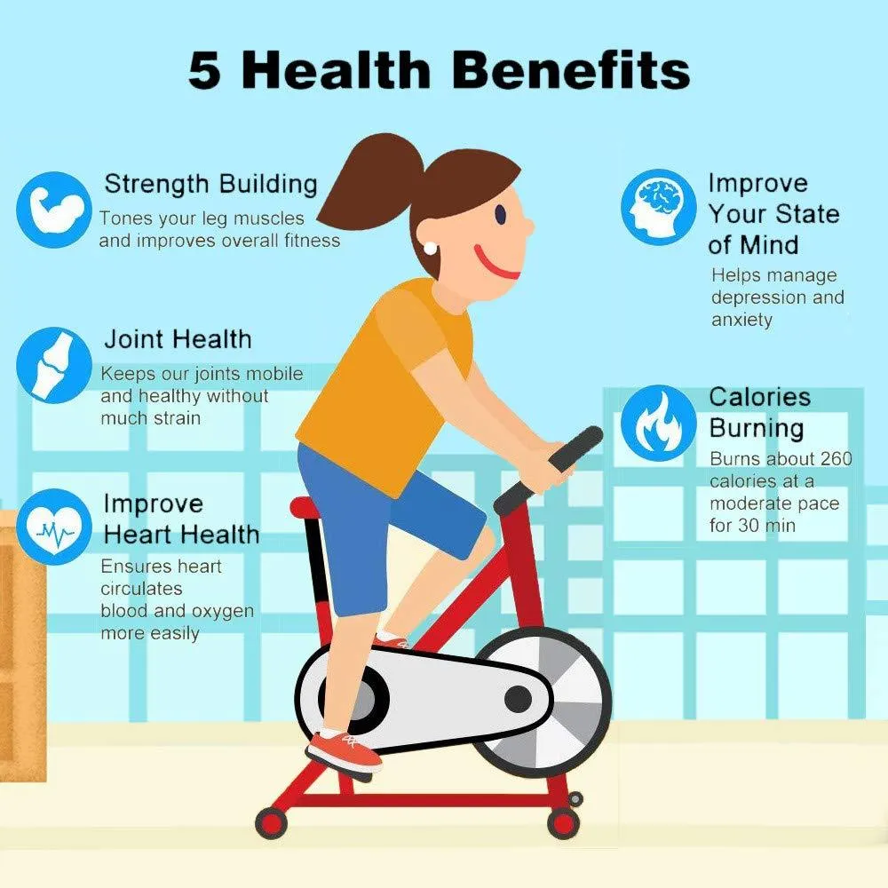 TADAMI Indoor Cycling Training, Stationary Ultra-Quiet Health Fitness Equipment Spinning Bicycle Cardio Workout Home Gym (Black)