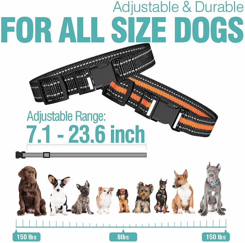 [TrainerPro ] Dog Training Collar with Remote for 2 Dogs