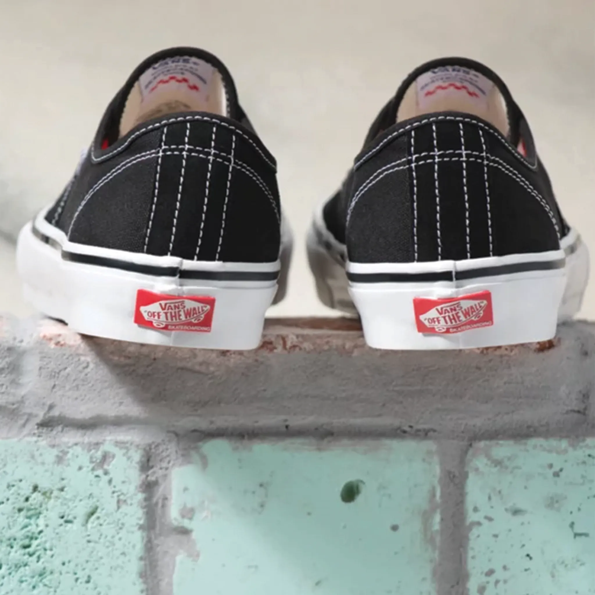Vans Skate Authentic Black/White