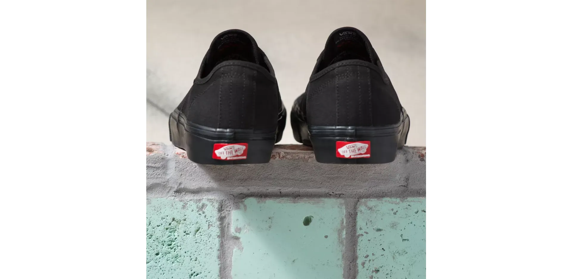 Vans Skate Authentic Shoes Black/Black