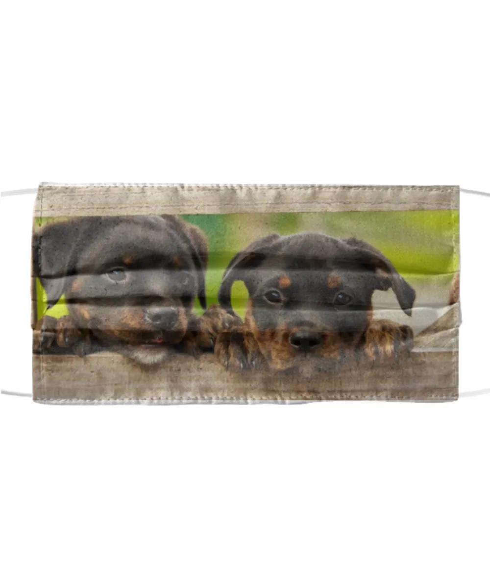 Washable Reusable Custom Polyester Cloth Face Mask