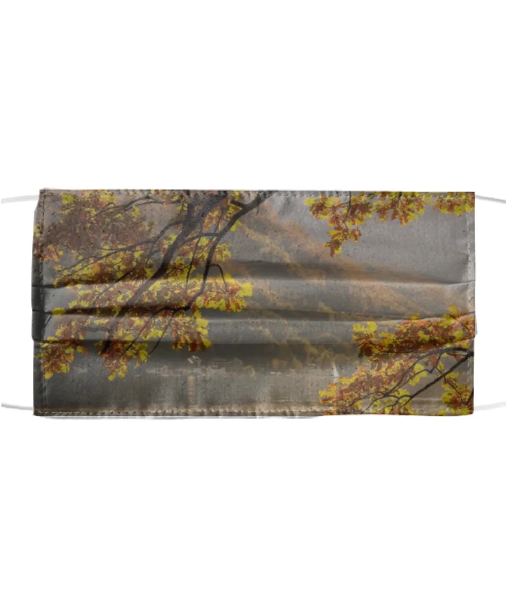 Washable Reusable Custom Polyester Cloth Face Mask