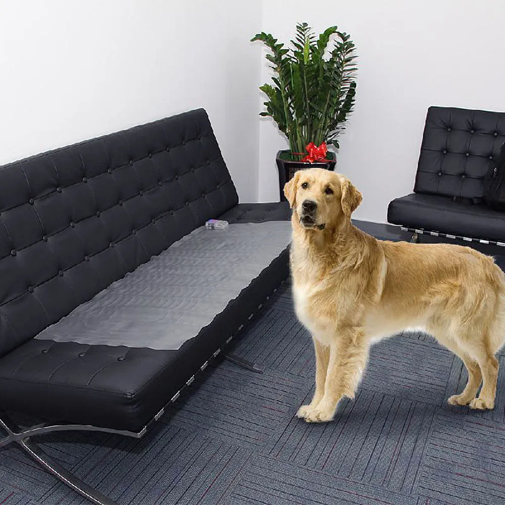 Waterproof Dog Training Mat