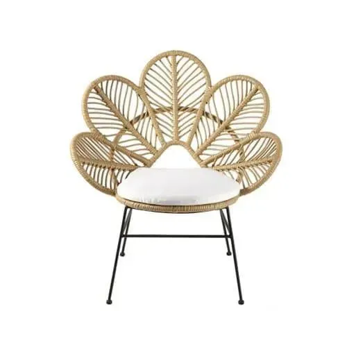 Wicker Peacock Wing Chair