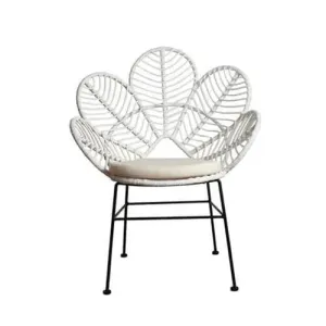 Wicker Peacock Wing Chair