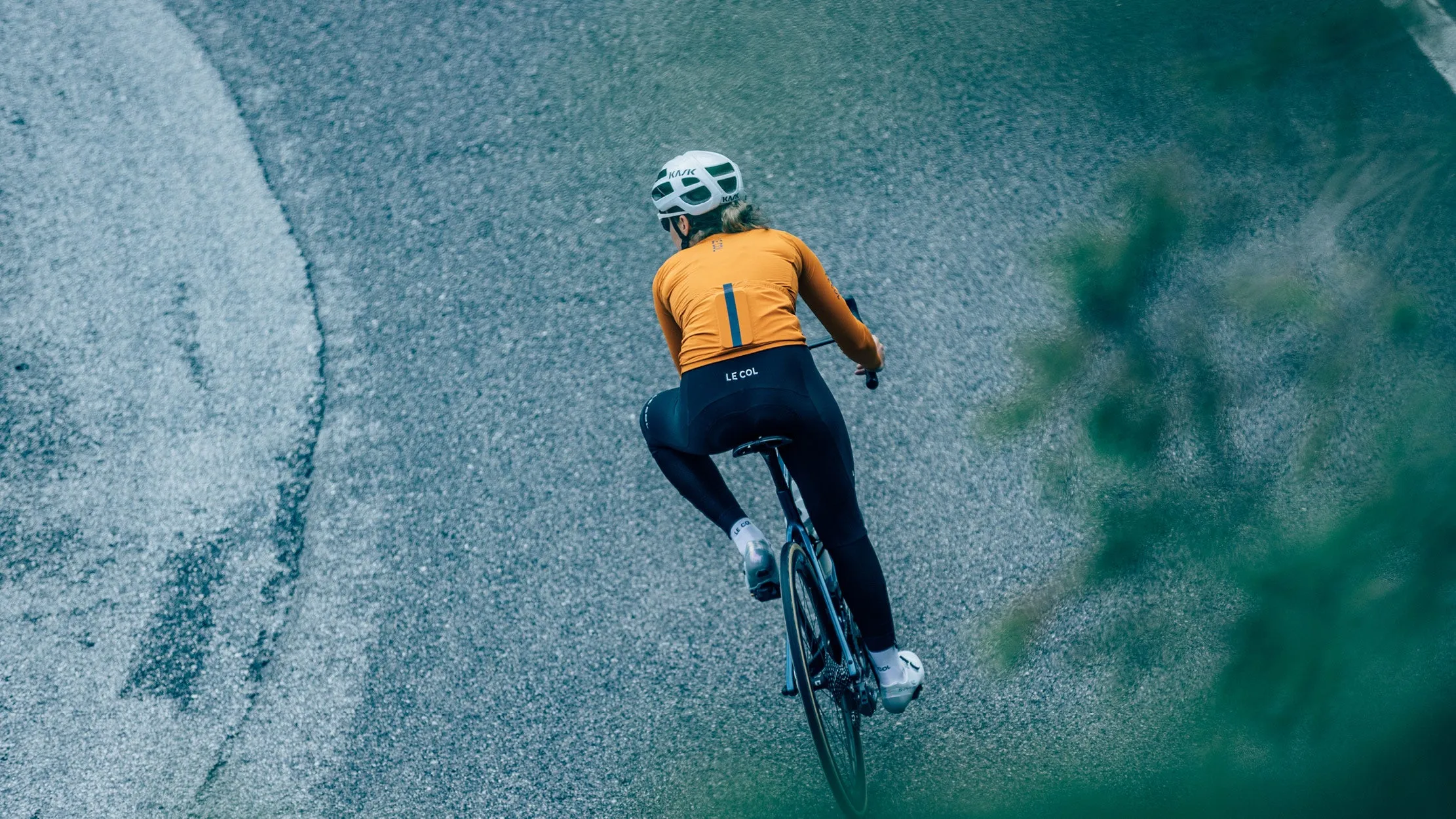 Womens Pro Long Sleeve Jersey