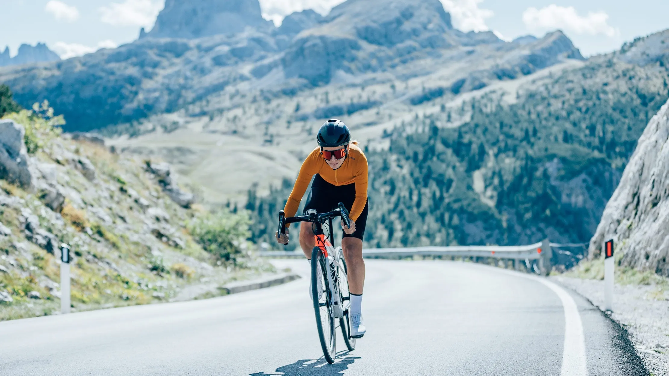 Womens Pro Long Sleeve Jersey