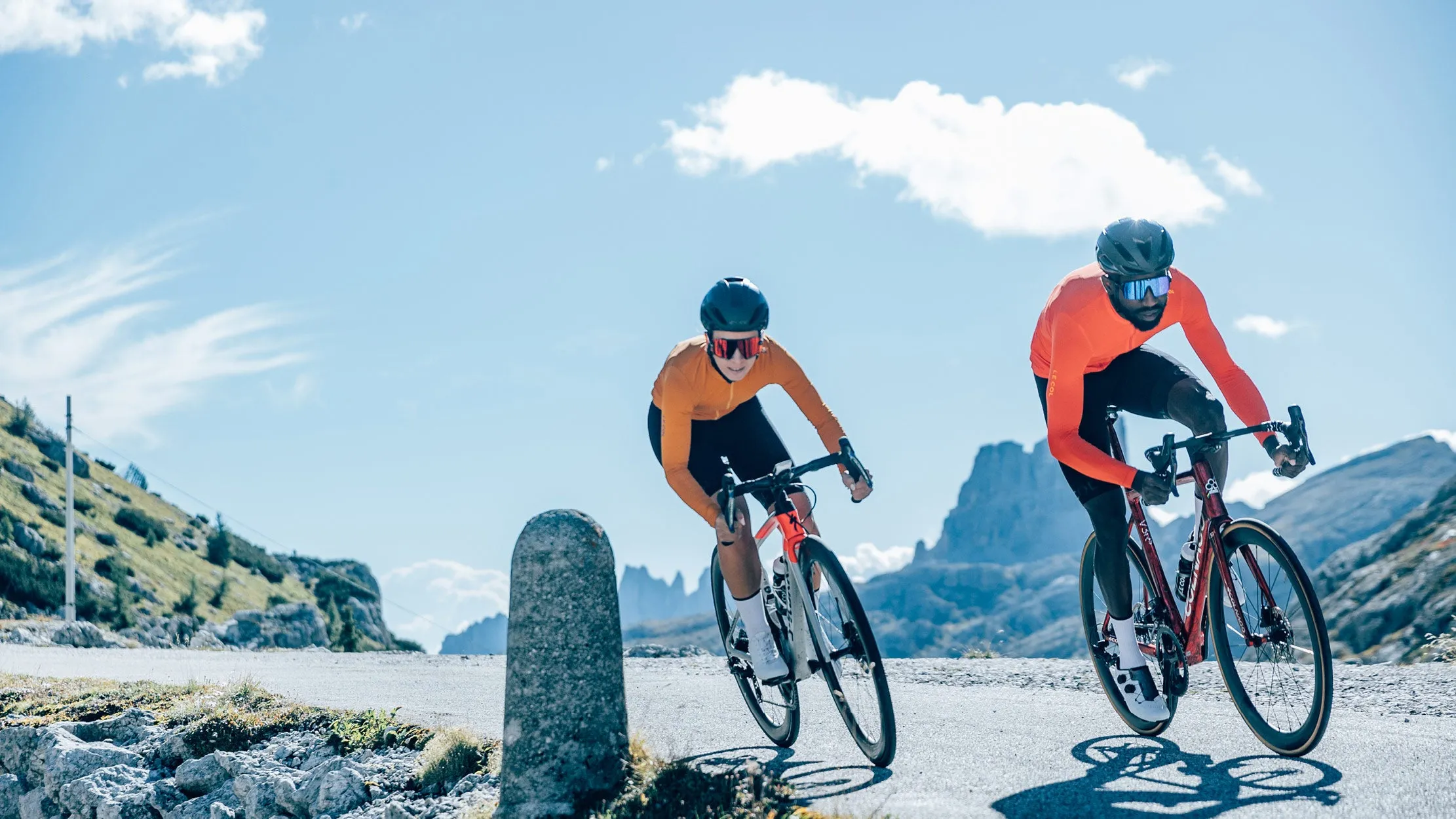 Womens Pro Long Sleeve Jersey