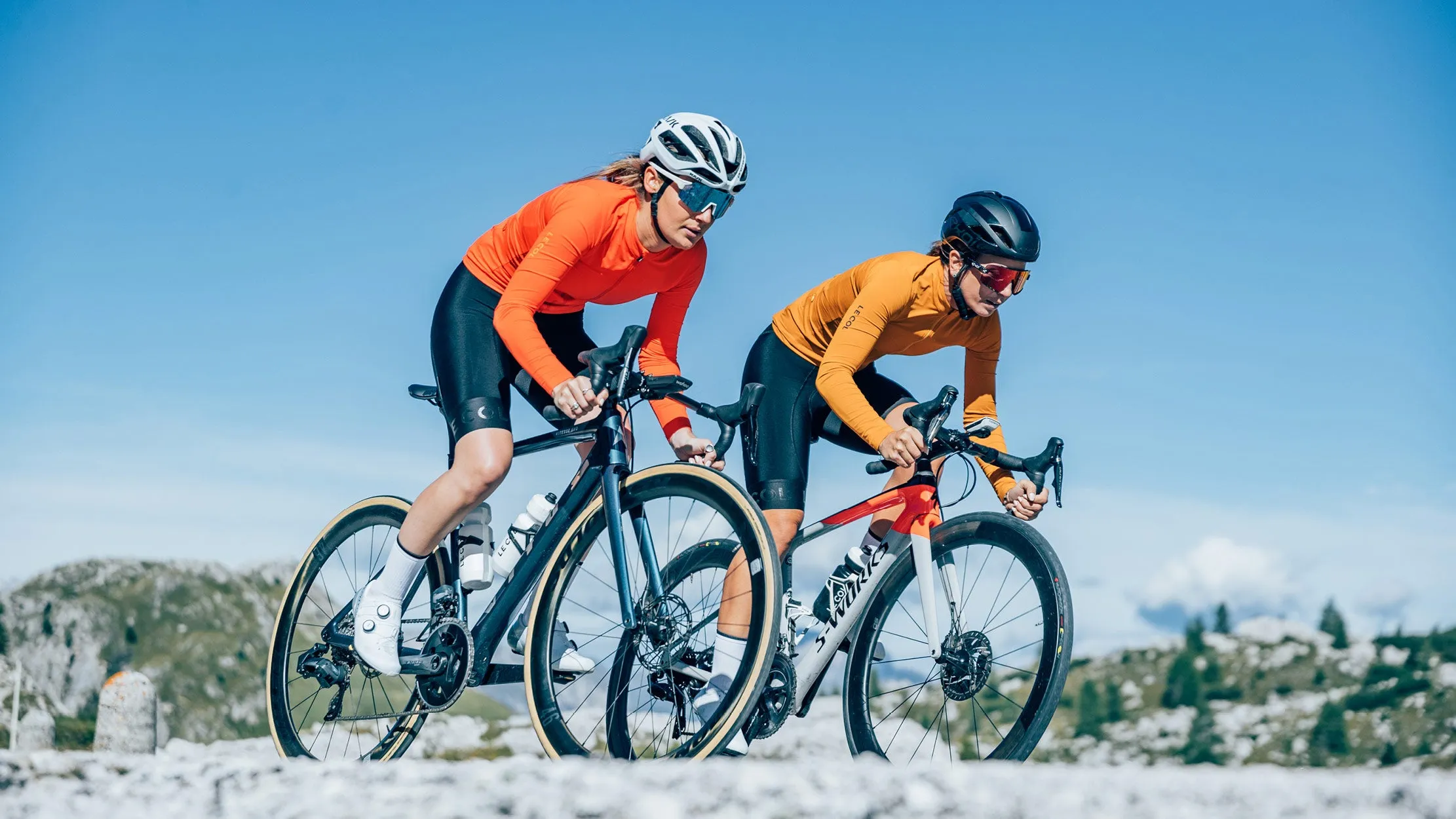 Womens Pro Long Sleeve Jersey