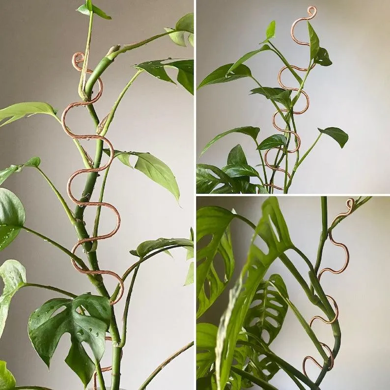 XL Copper Plant Sticks, 24" Long Plant Support, 7 Designs