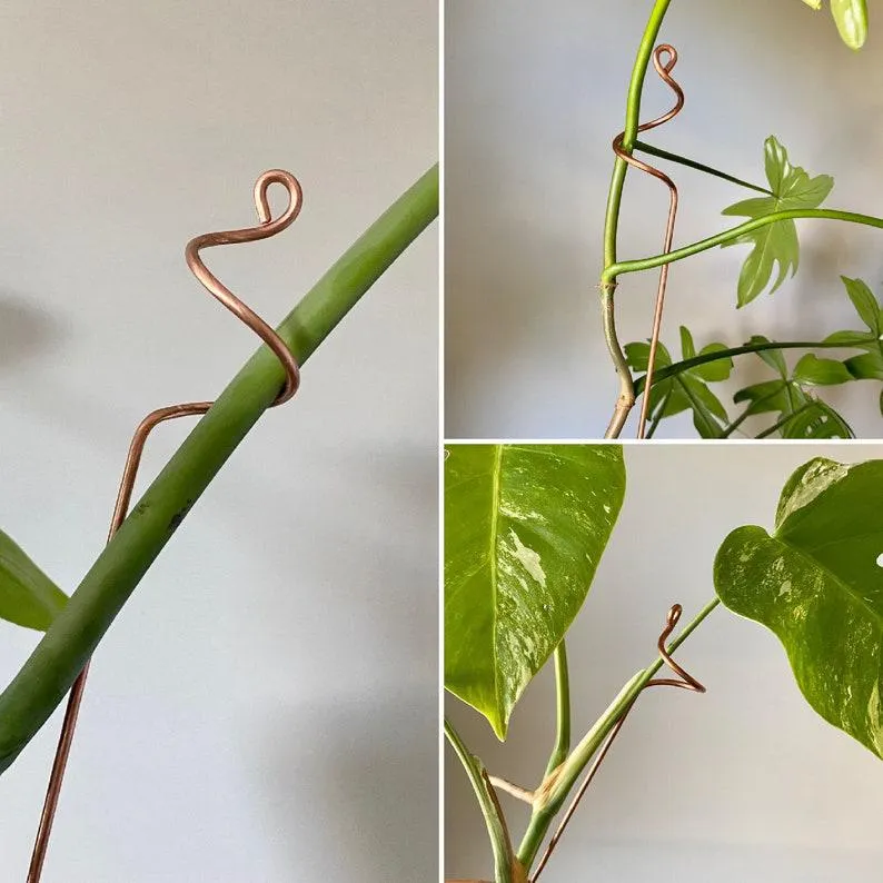 XL Copper Plant Sticks, 24" Long Plant Support, 7 Designs