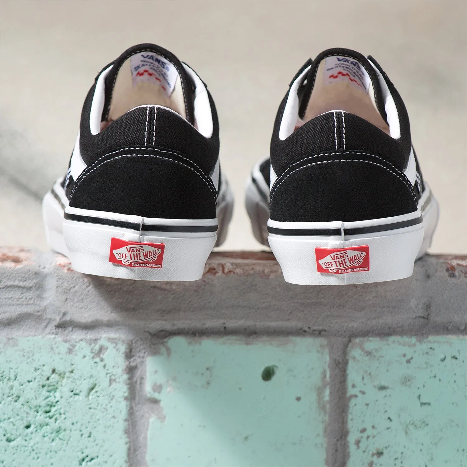 Zapatilla Skate Old Skool Black/White
